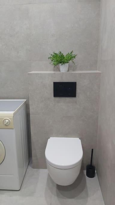 Apartament Self Check-In 热舒夫 外观 照片